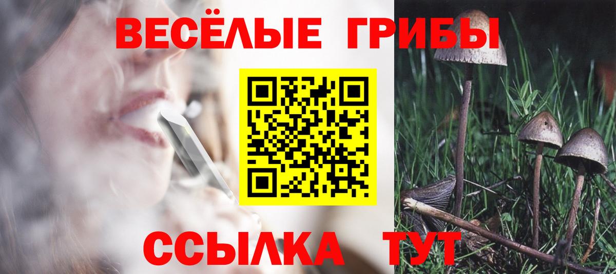 Псилоцибиновые грибы прущие грибы  Вход с VPN  Буйнакск  цена   Псилоцибиновые грибы мухоморы 